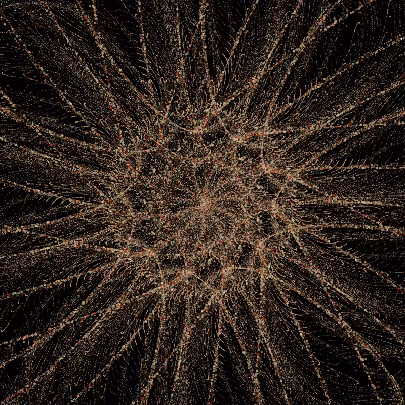 Vortex #333