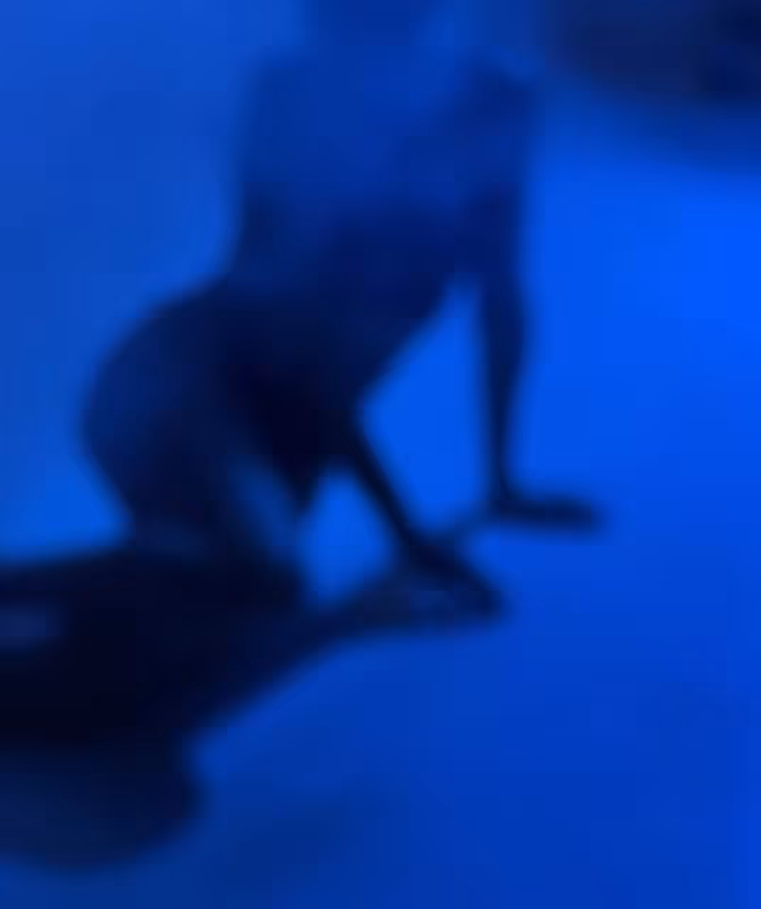 Rodeo posts: Fatal #4
