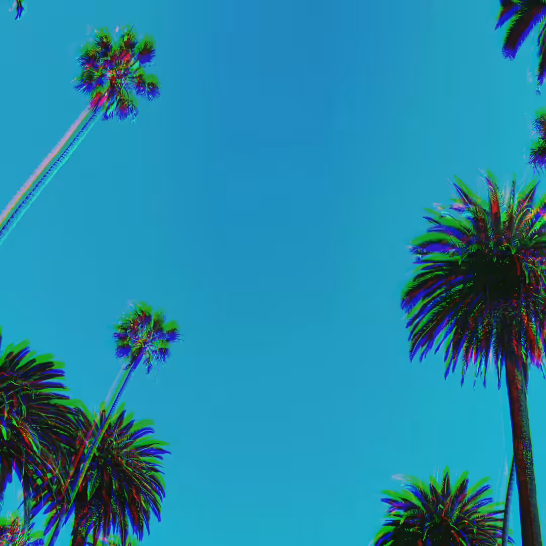 Catifornia Dreaming