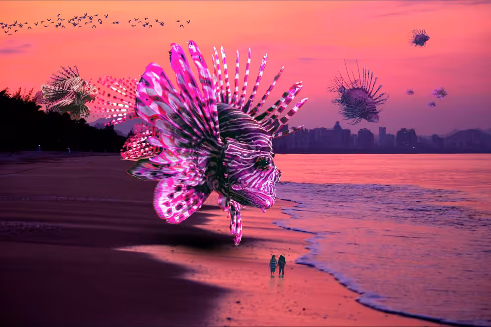 Night Krawlers Beach Breakfast