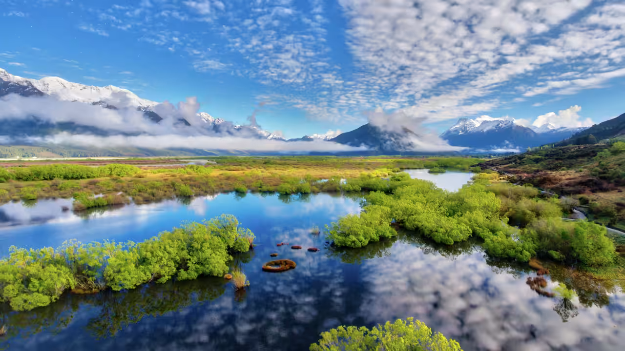 #21: Below. New Zealand.