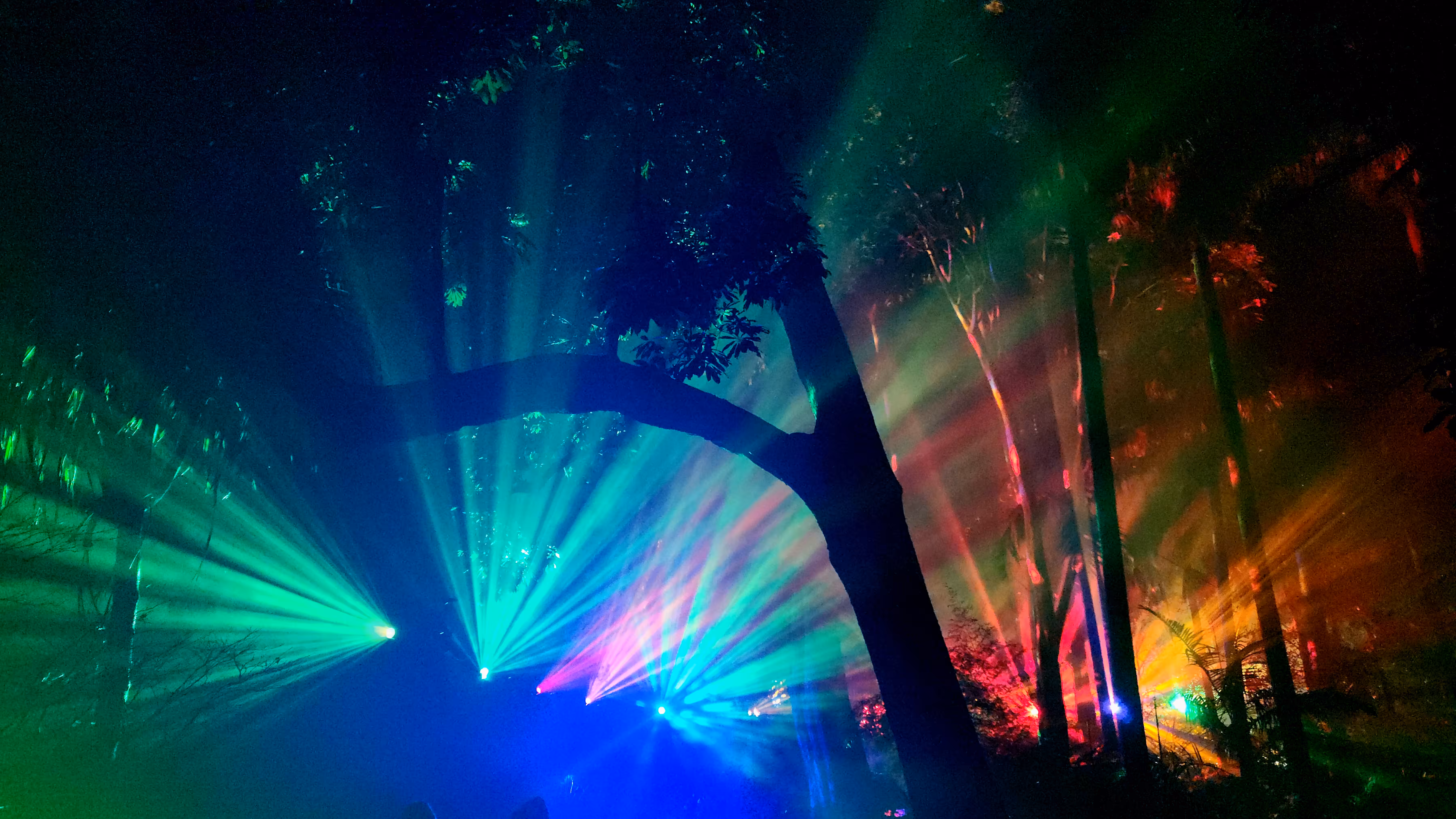 Lightscape  - rainbow forest 