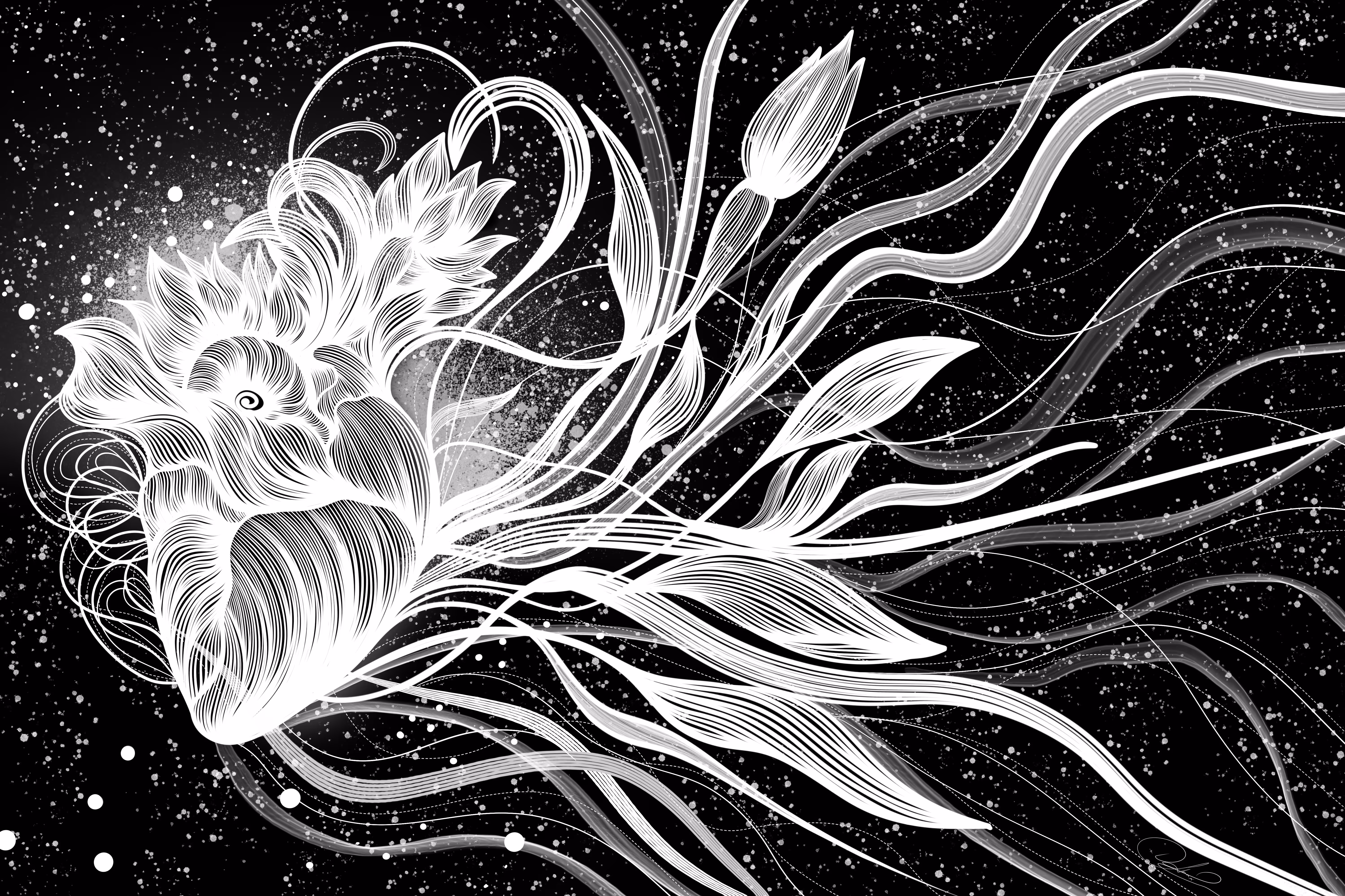 Bloom Where Your Heart Speaks