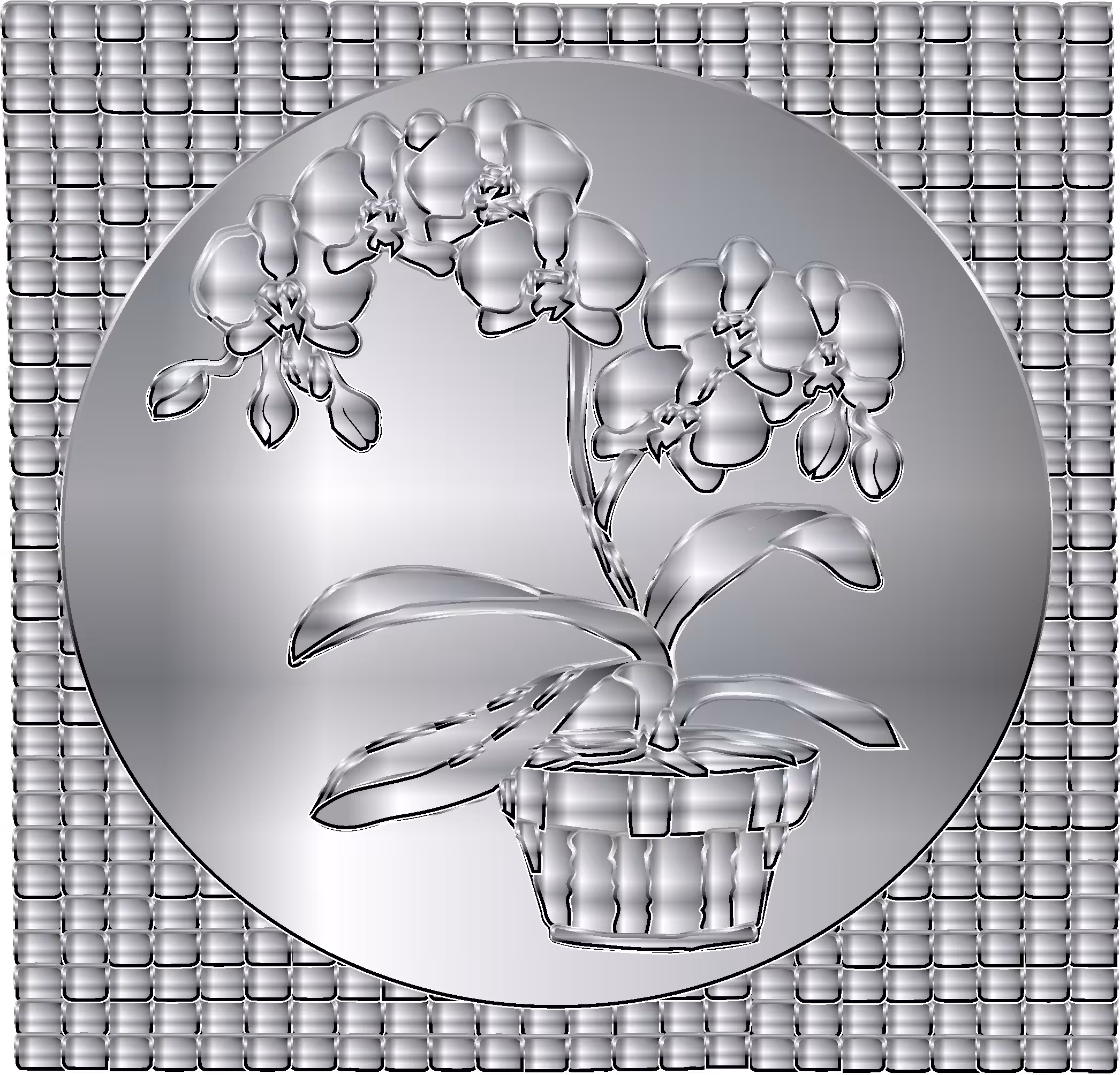 orquidea moneda