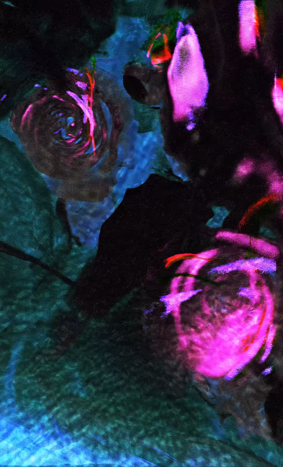 rose water
