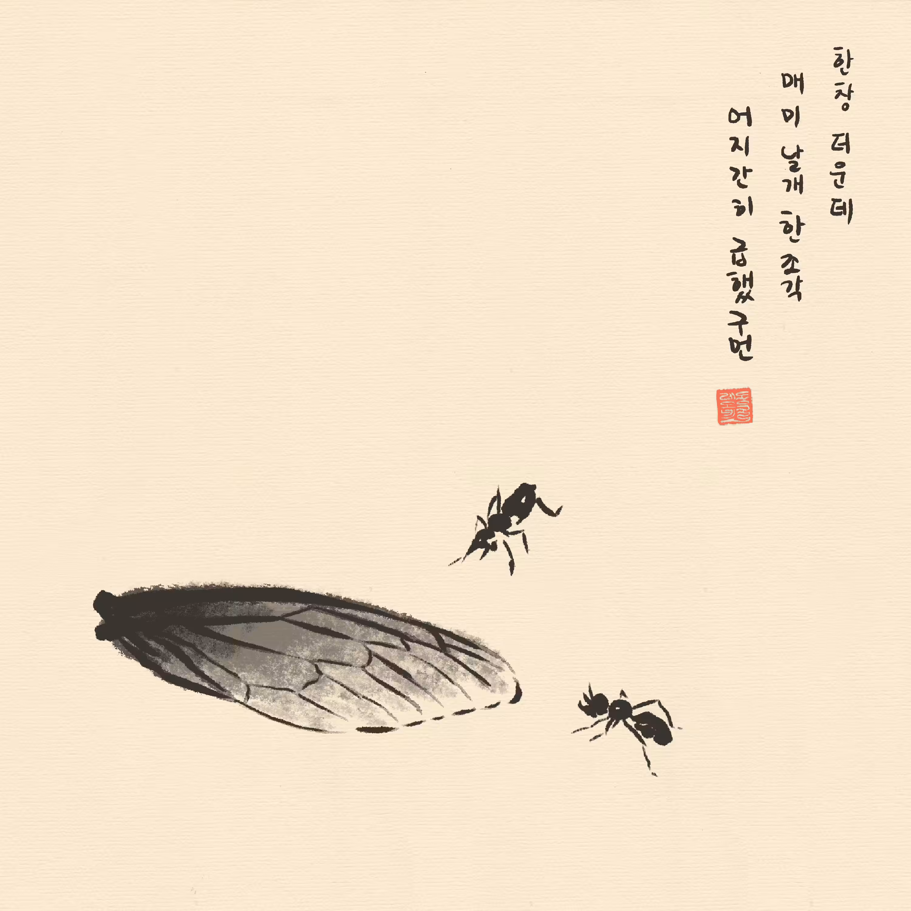 Meditation in the cave: A Cicada Wing
