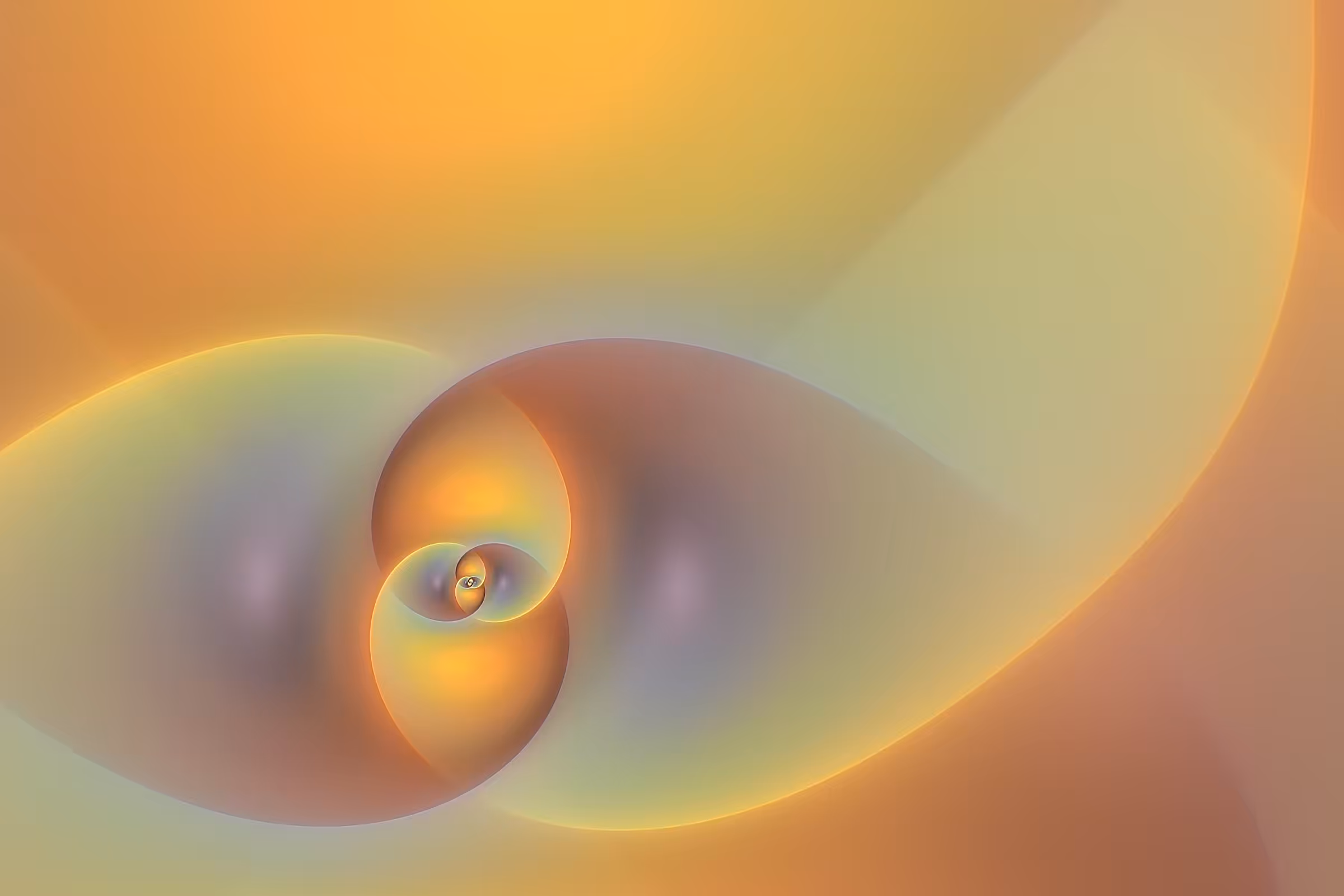 Volute #113
