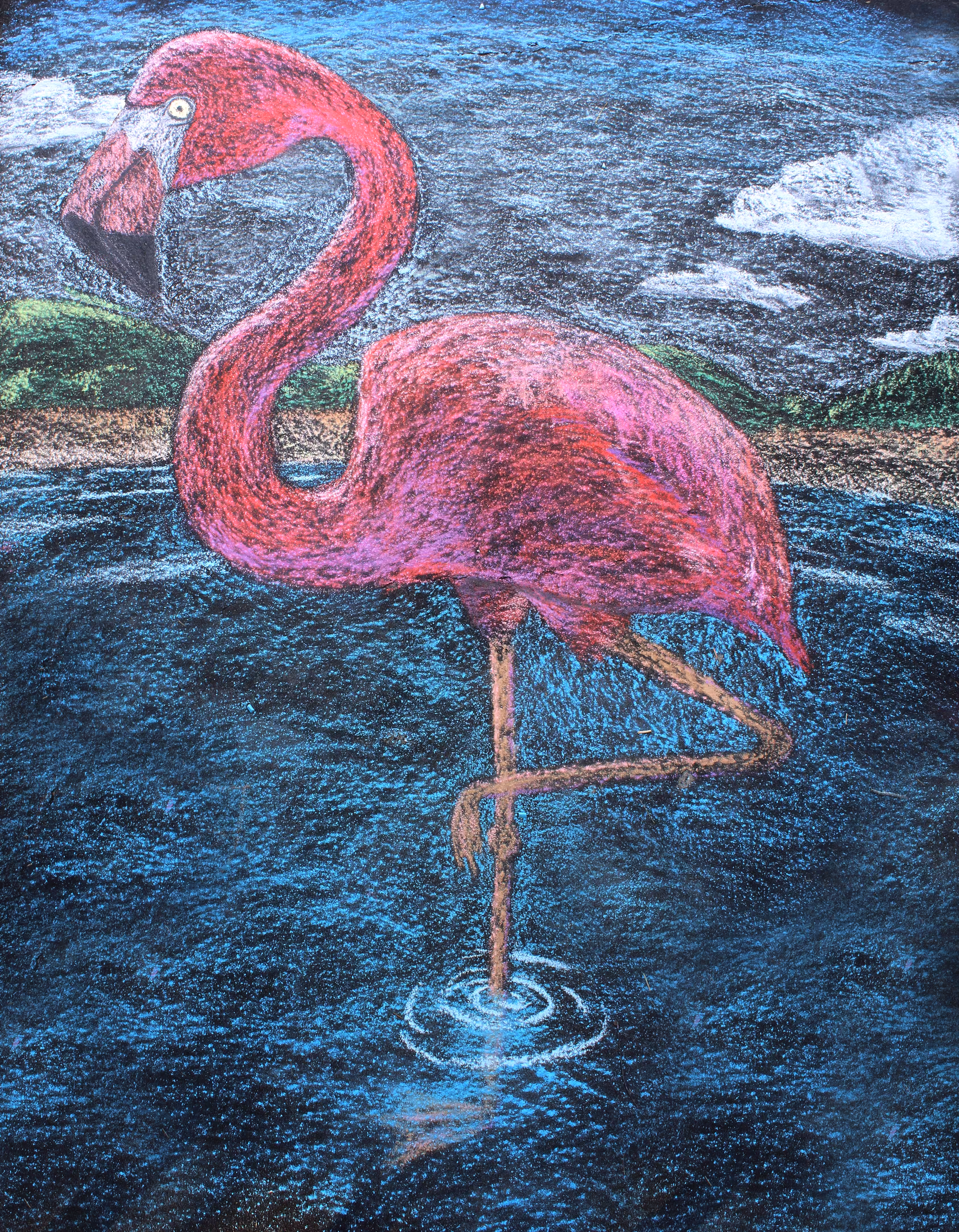 Chalk Series - Flamingo