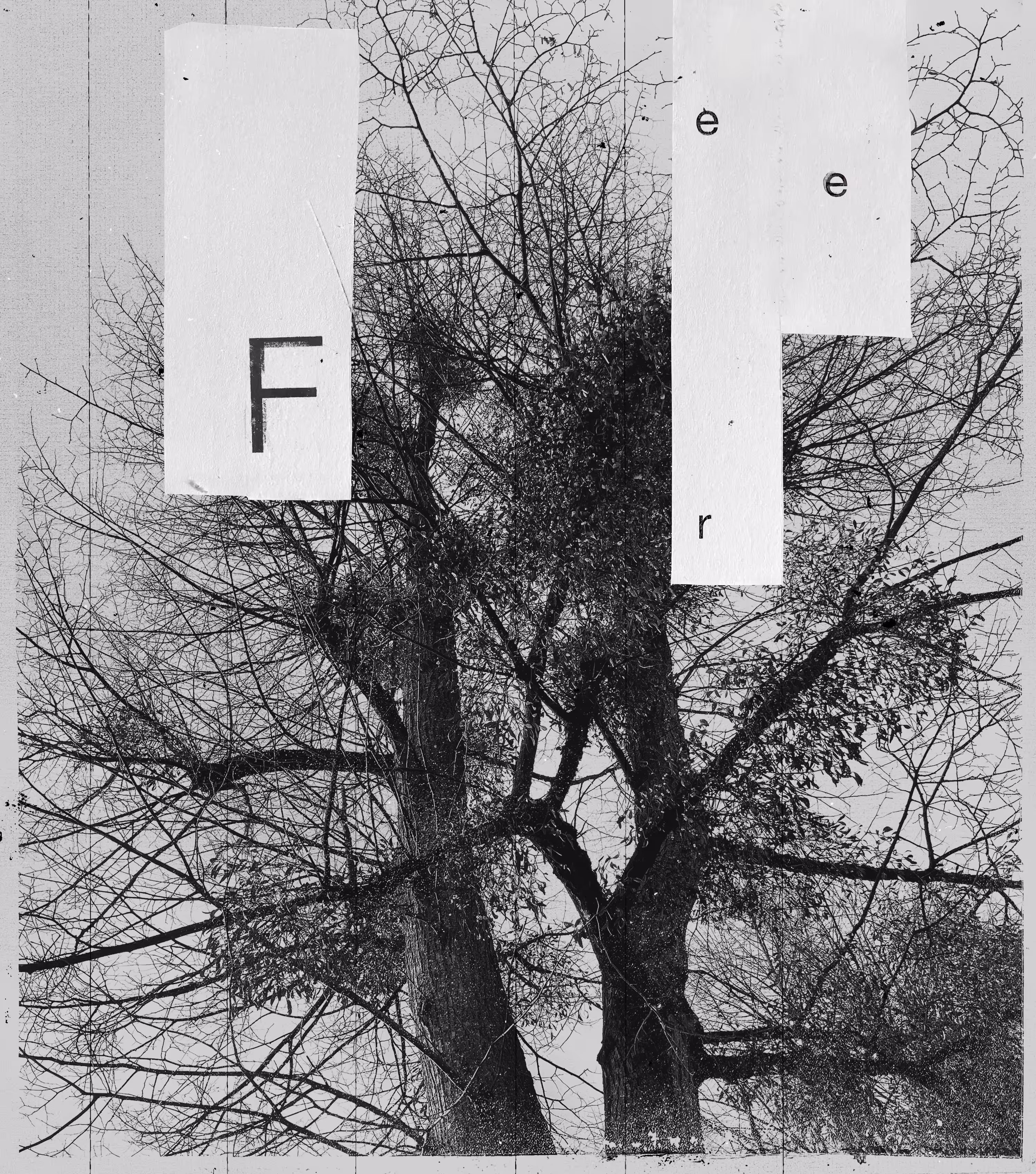Free 03