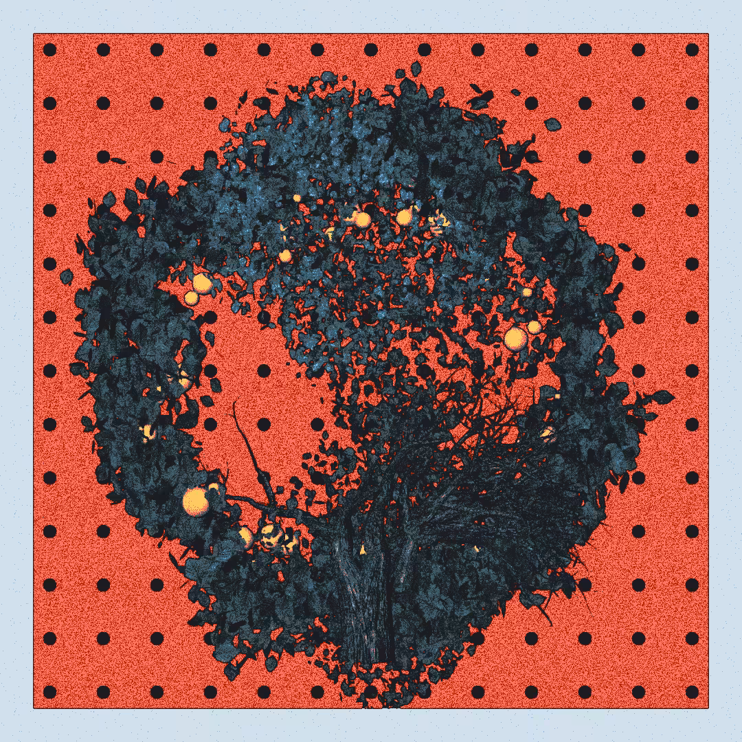 _argania[primaria] #273