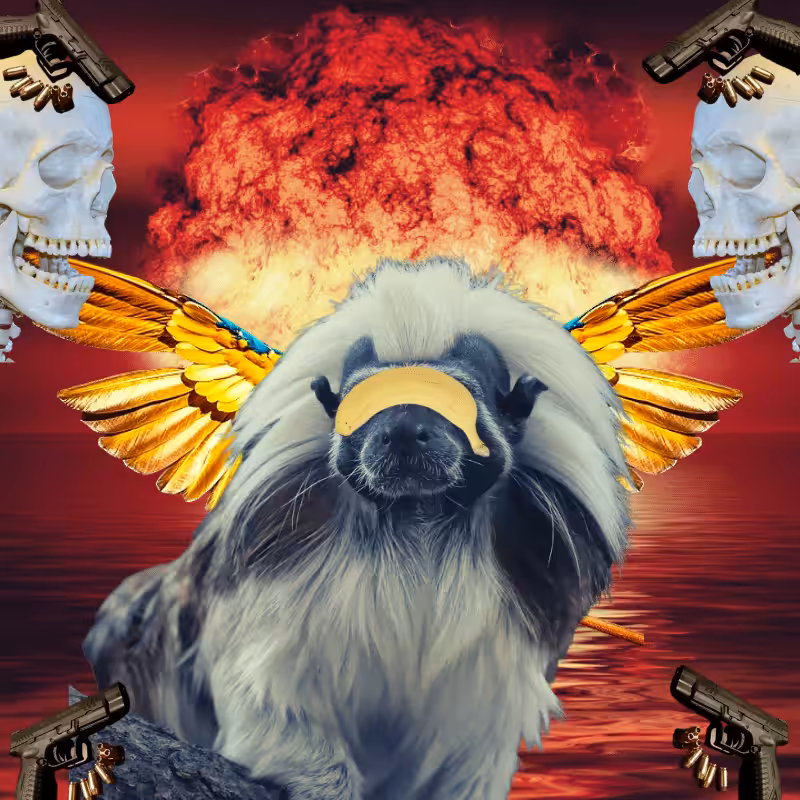 Blinded apes #34
