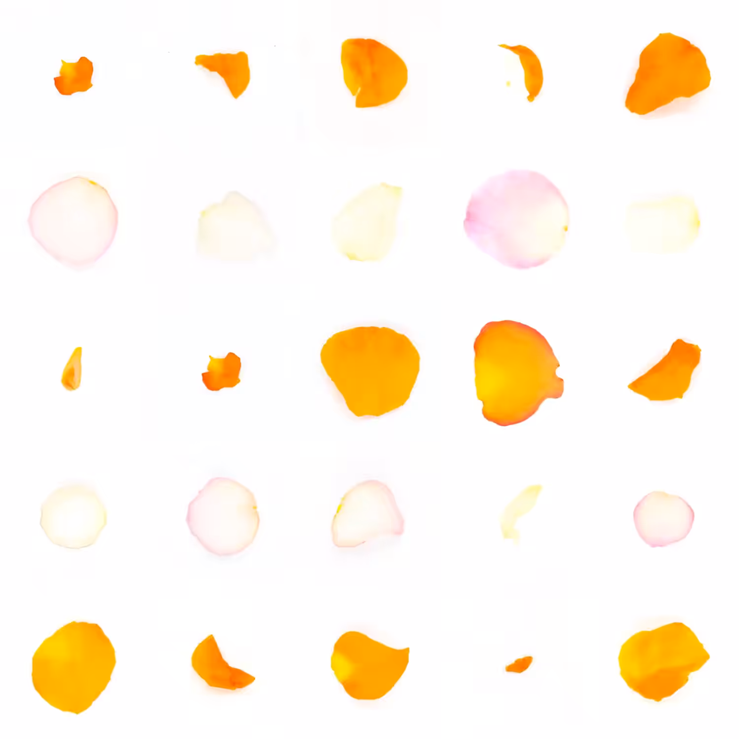 Infinite Petals 5x5#739