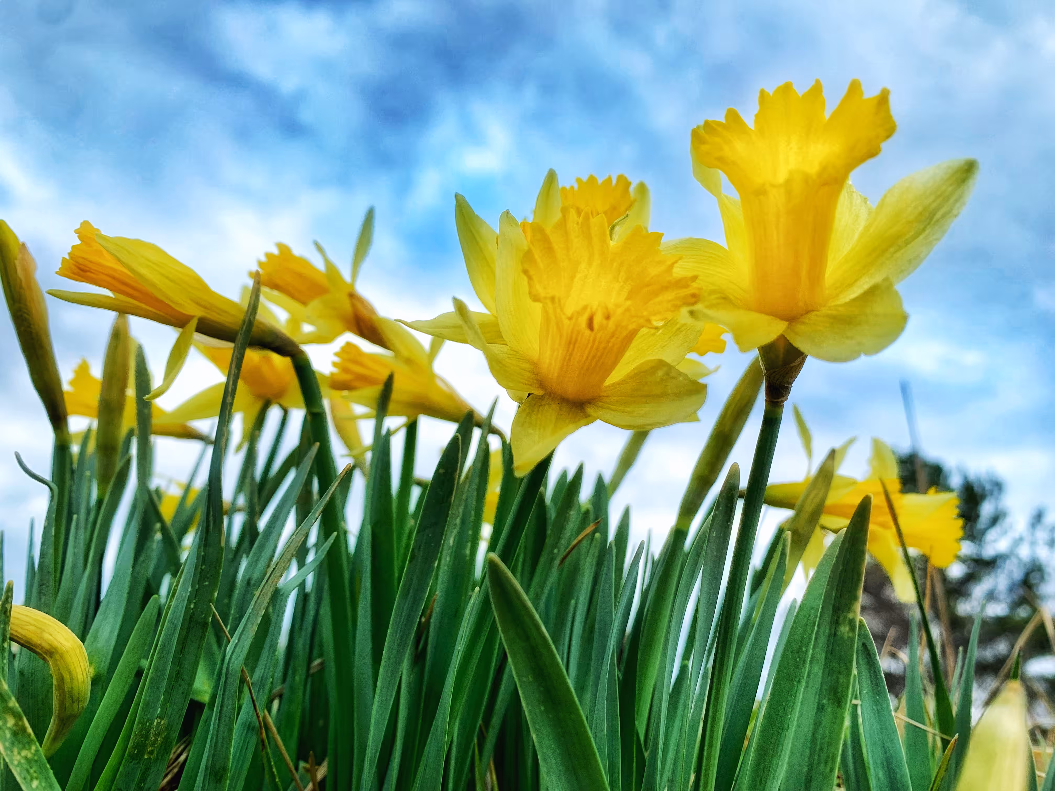 The Daily Good 14.3.22