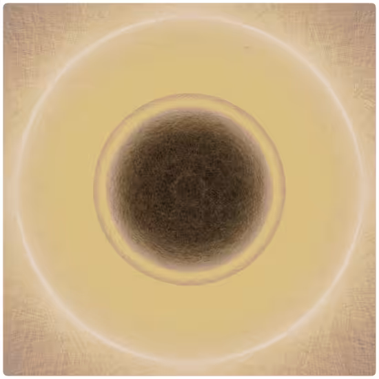 Sun #1