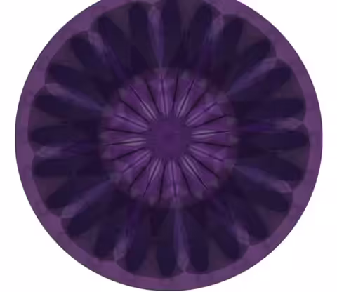 Mandala: A Year