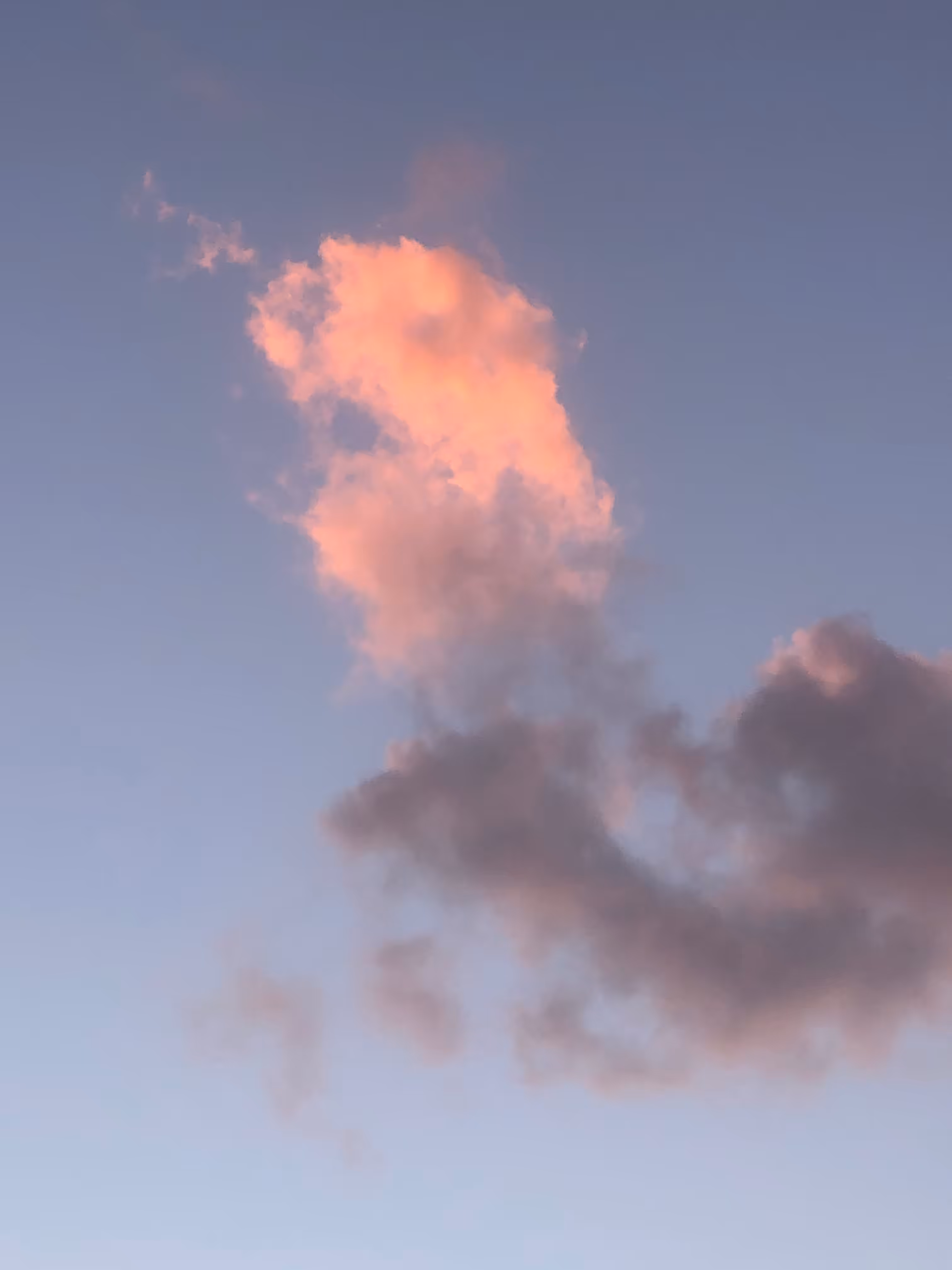 LIFE PHOTO GALLERY: NO. 32