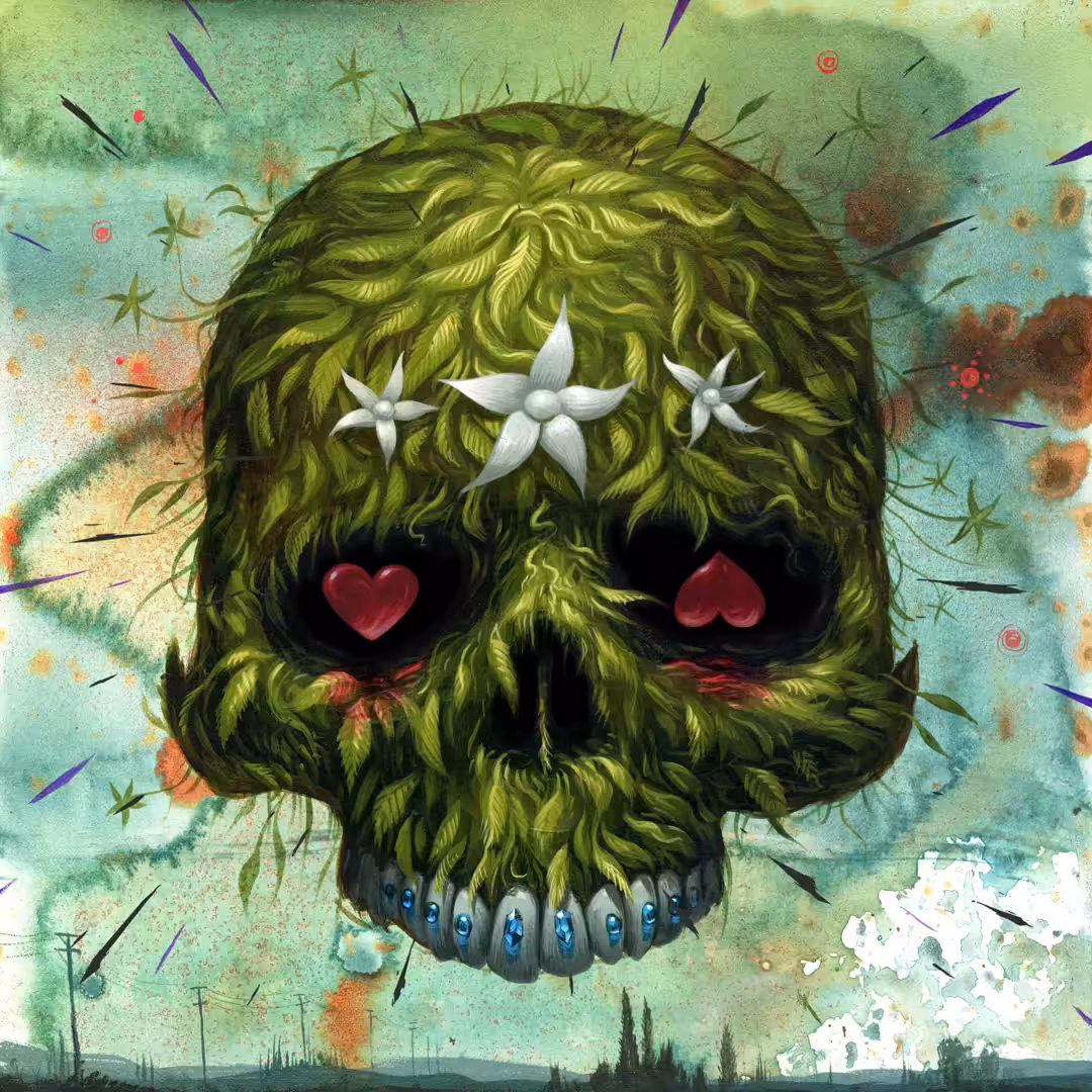 LifeSkull