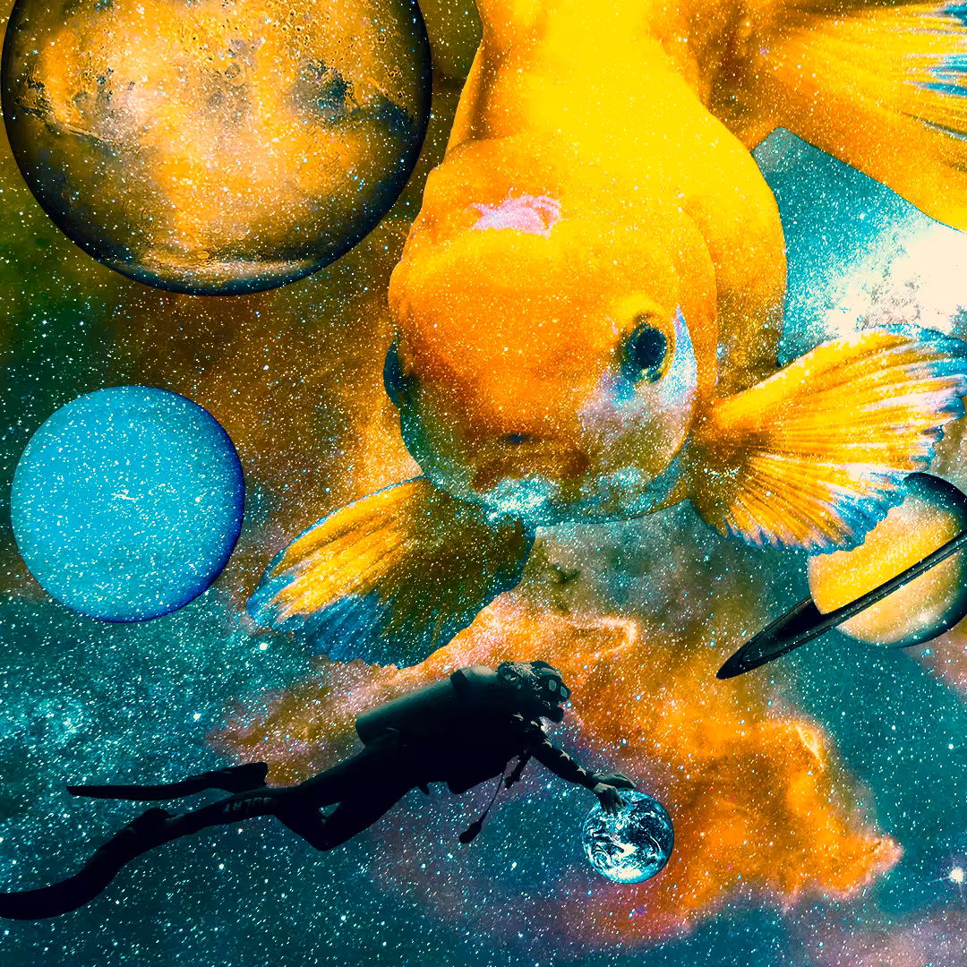 Fish Bowl