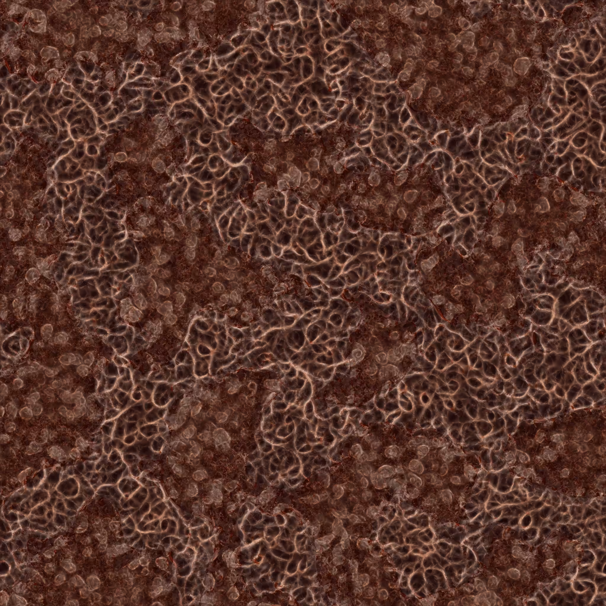 saprophyte #239