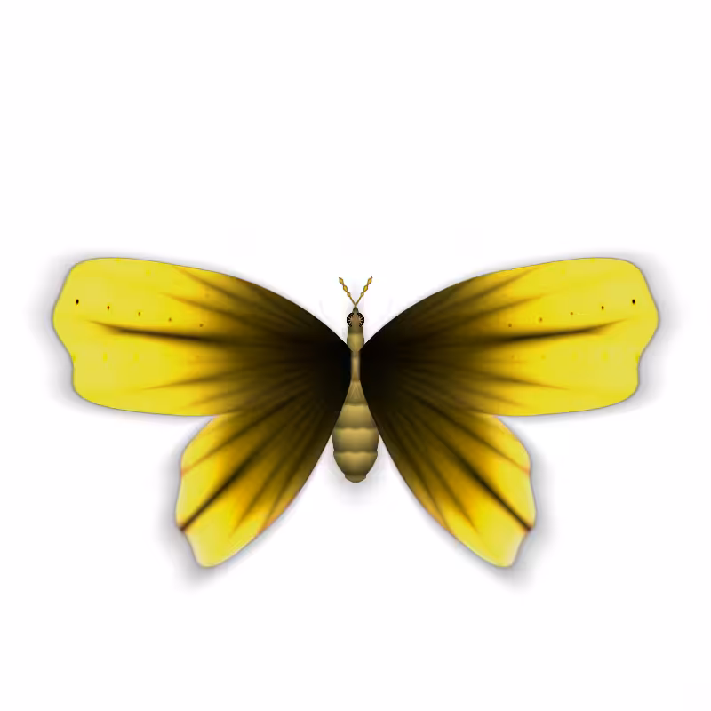 Vlinder II #24