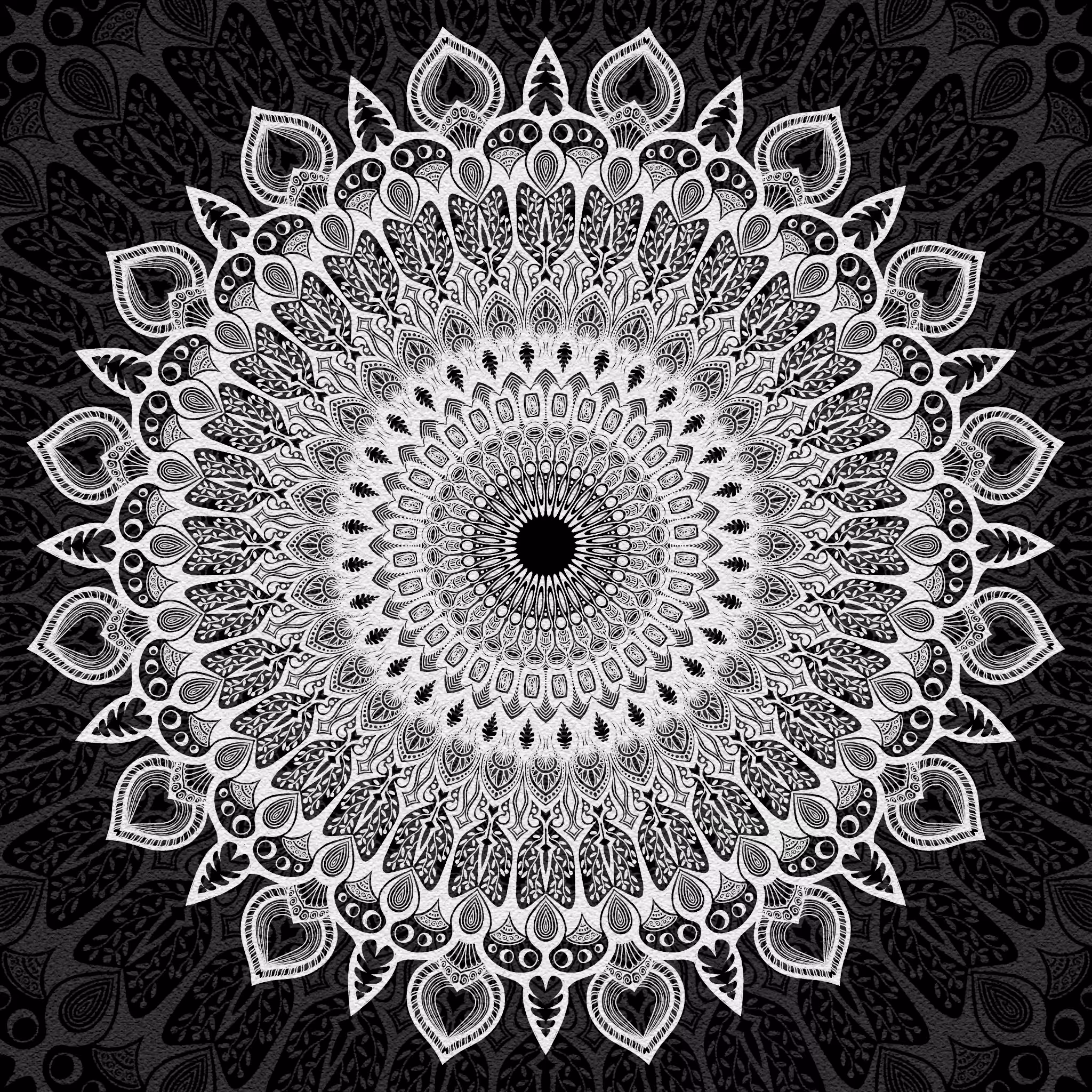 Black and White: BW Mandala 12