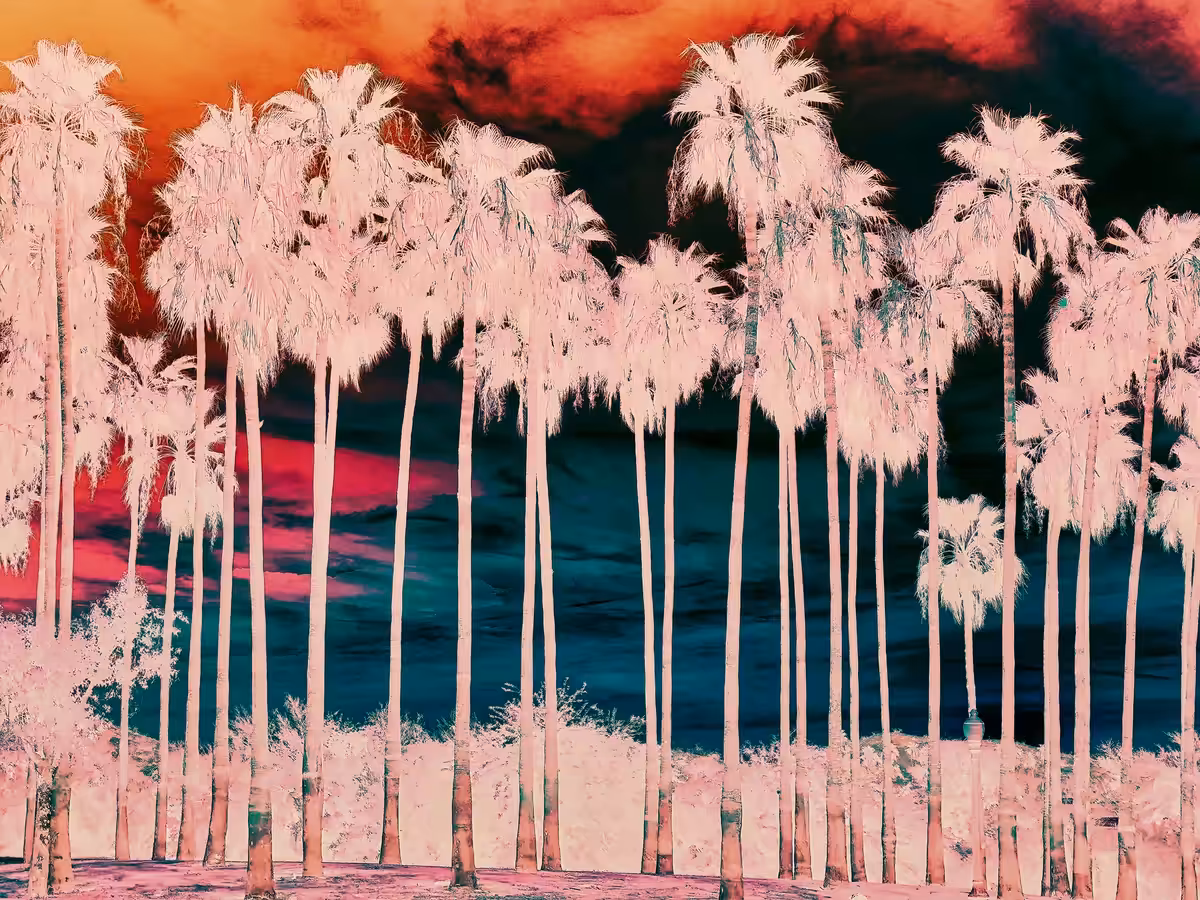 Crimson Skies of Fire