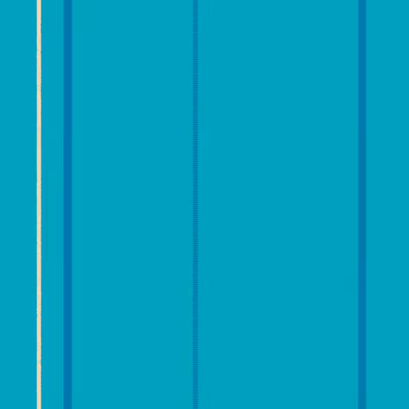 Stripes #79