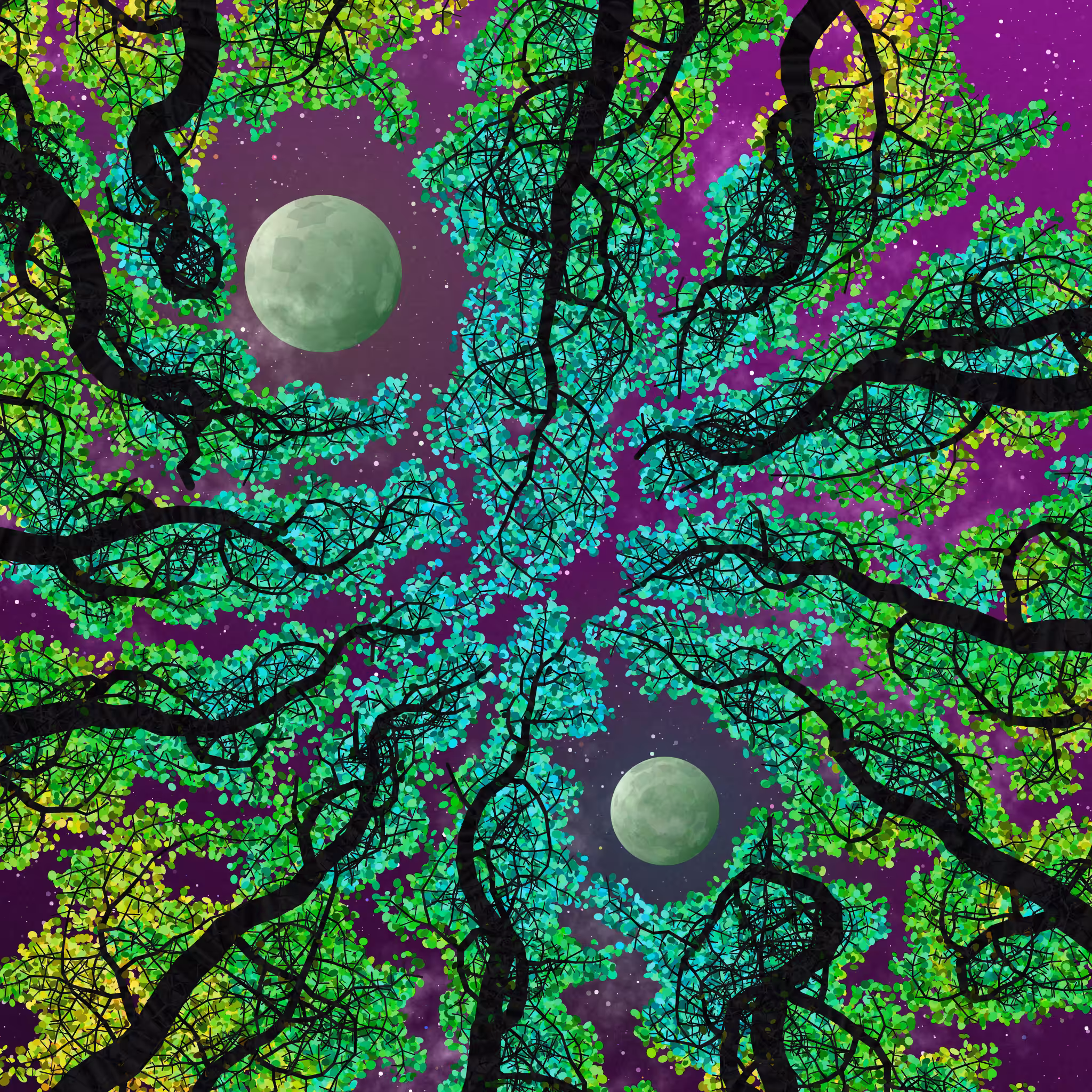 Tree Skyness #97