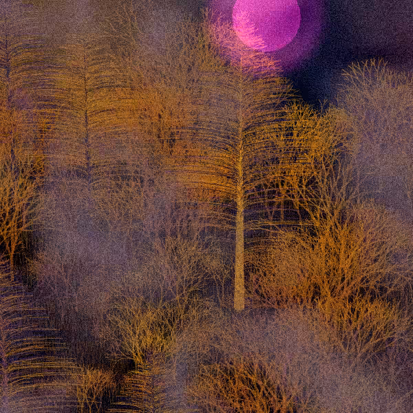 Moonlit Native Bush #2