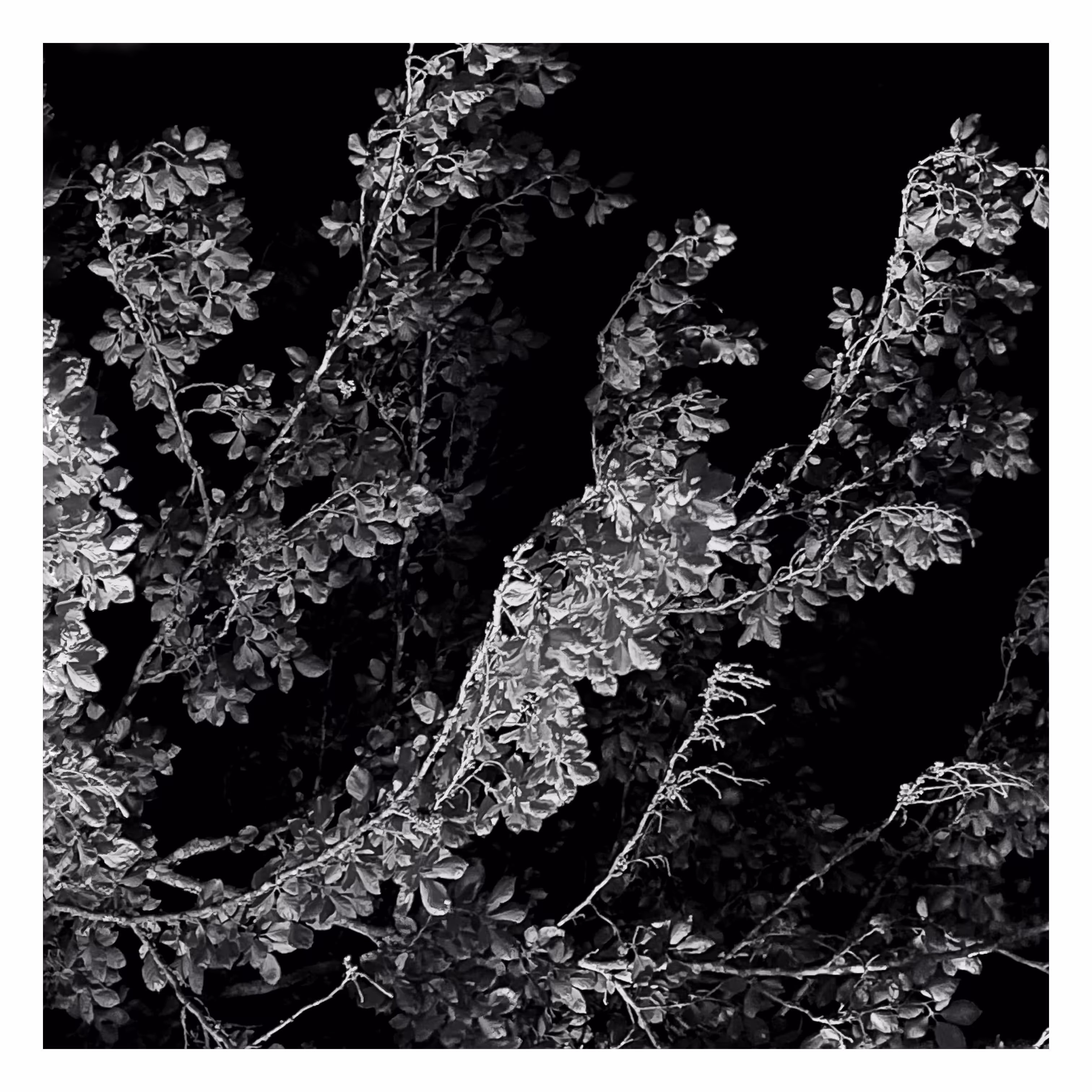 Stroll: July 22, 2023 • 10:46pm