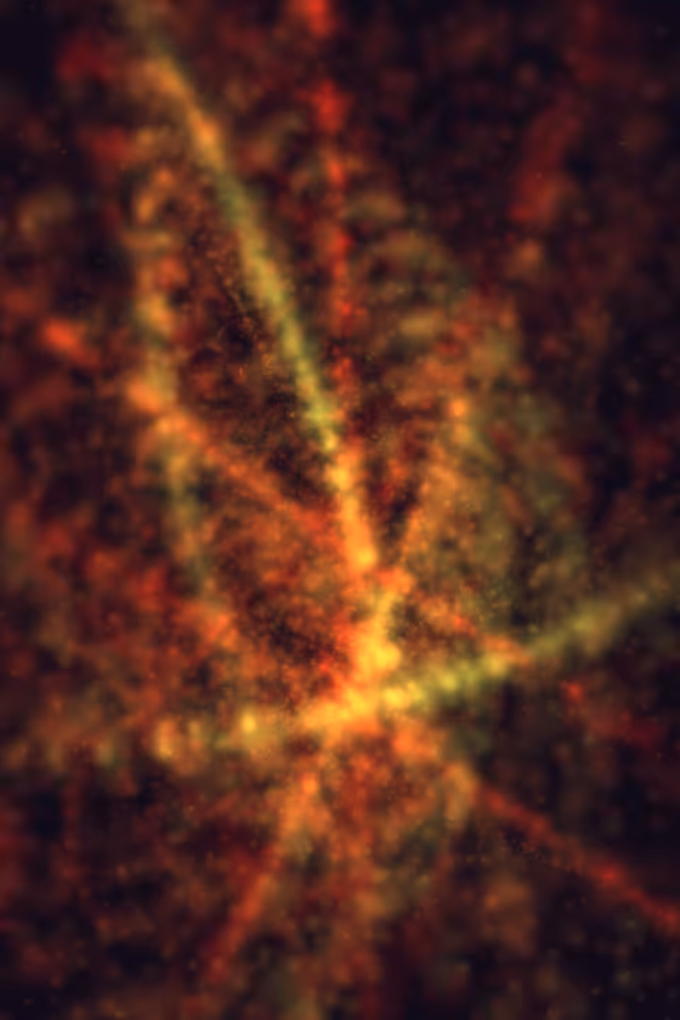 Orchestrated Chaos #25