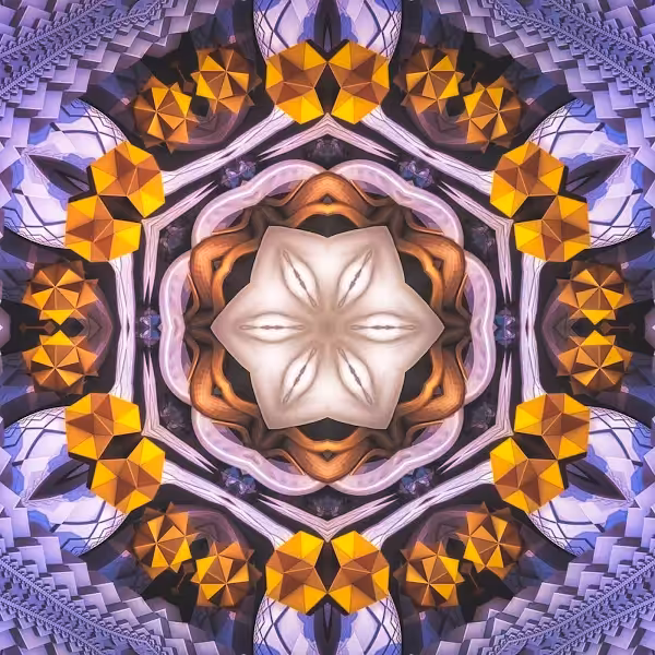 Delicate