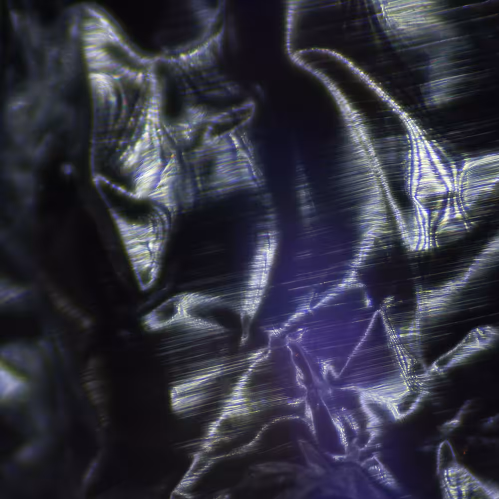 tencu_abstract_1116
