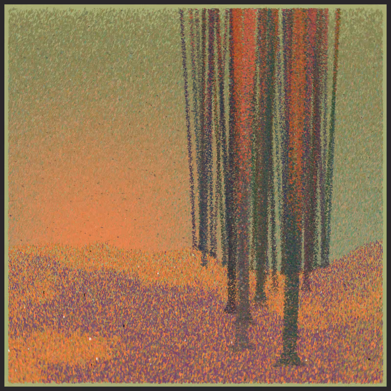 forest #256