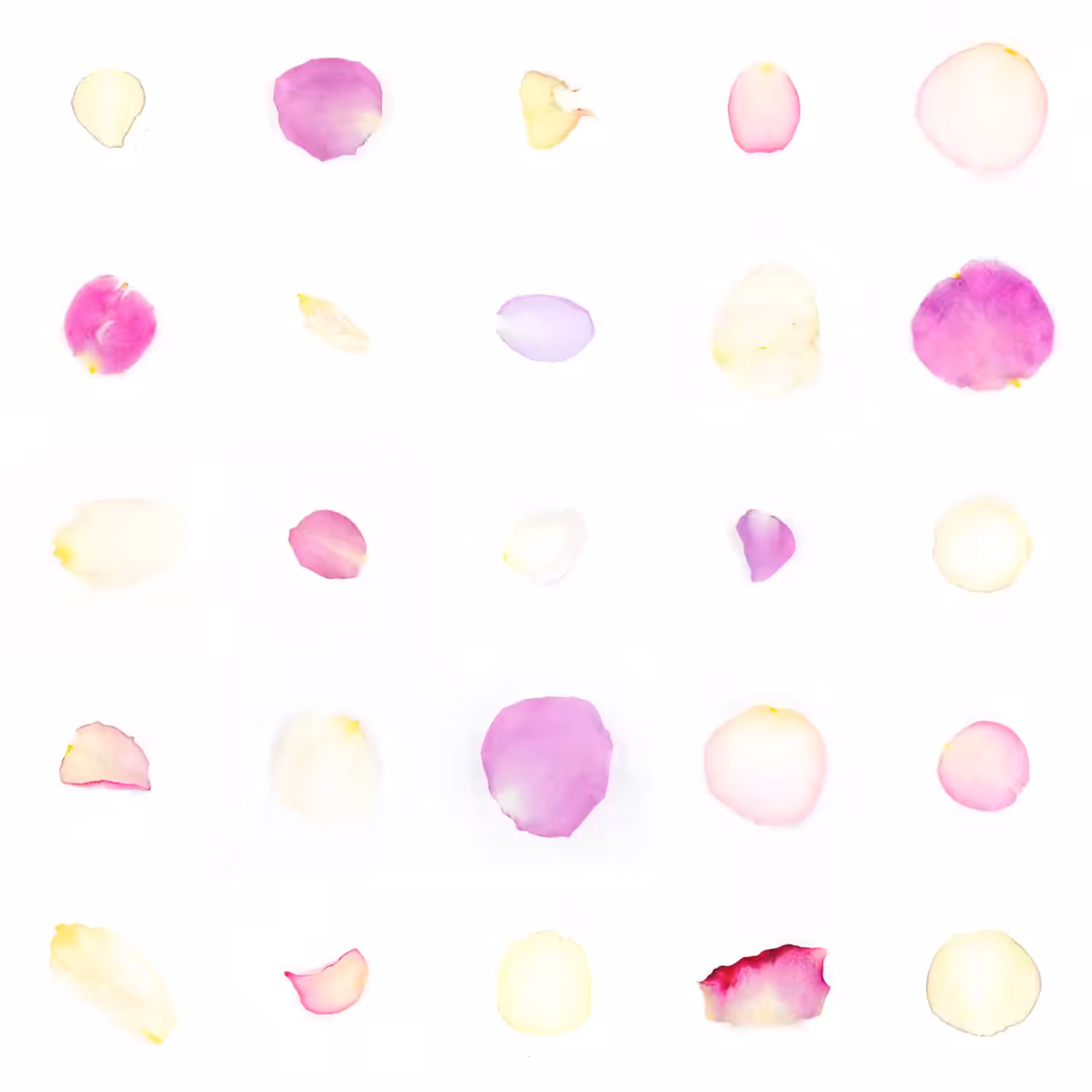 Infinite Petals 5x5#388