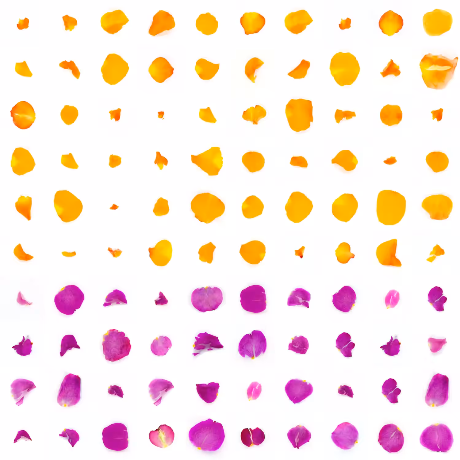 Infinite Petals 10x10#900017