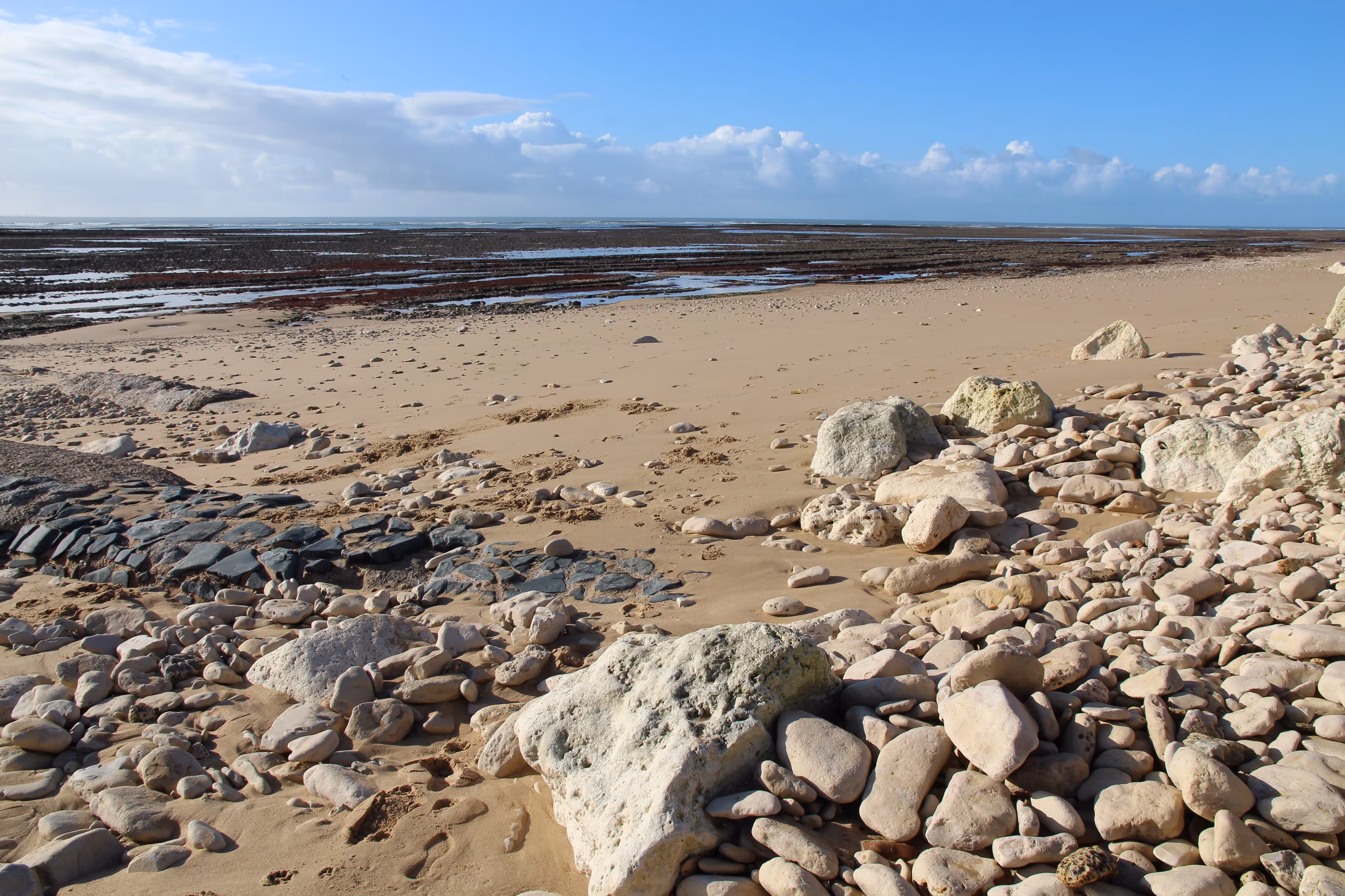 Stone Coast