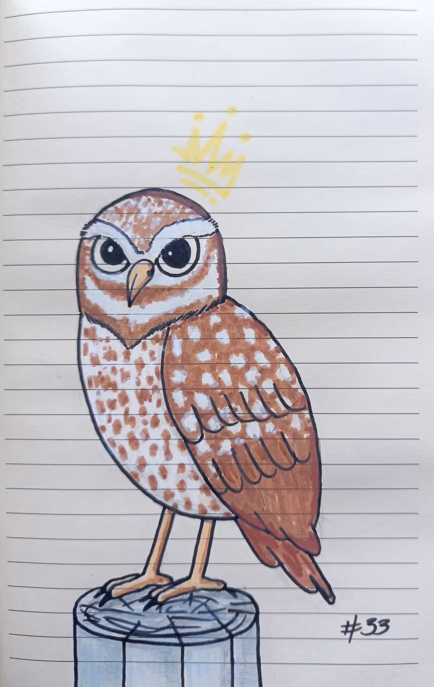 #33 Owl