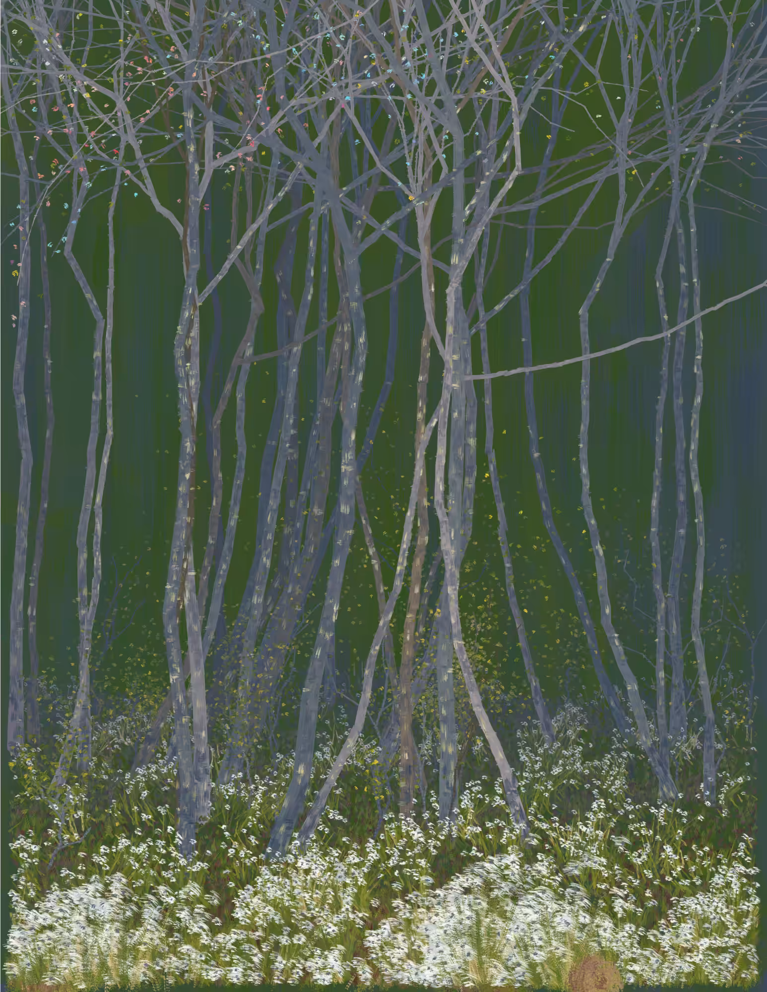 Deep Forest #330
