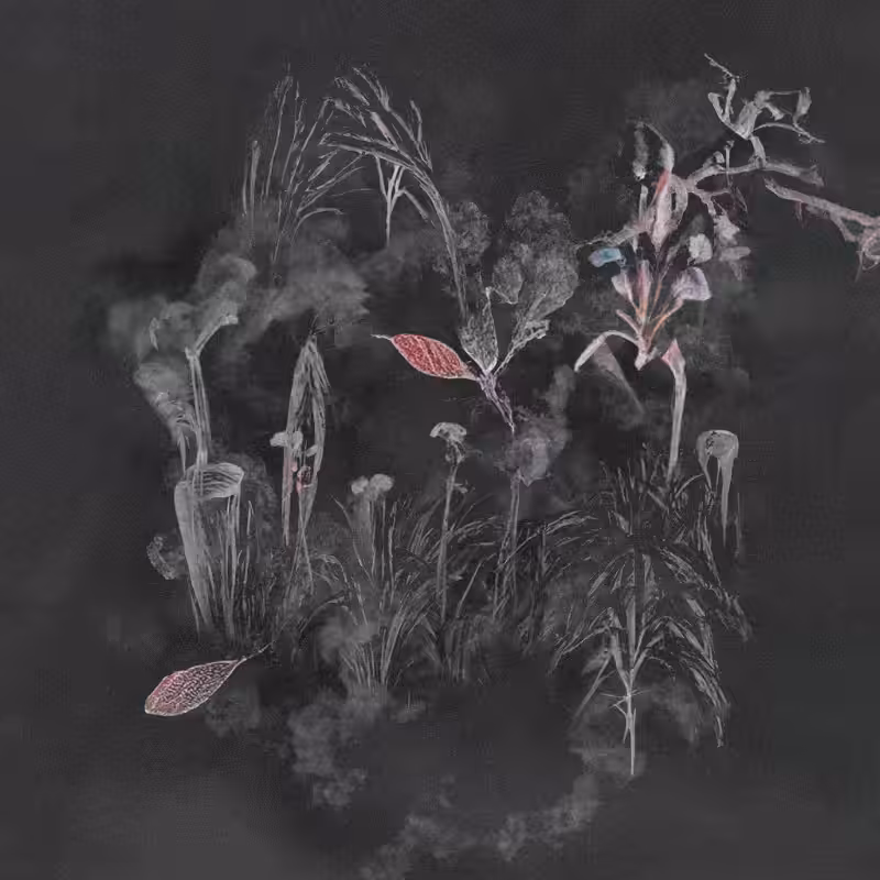 Hauntological Herbarium #55