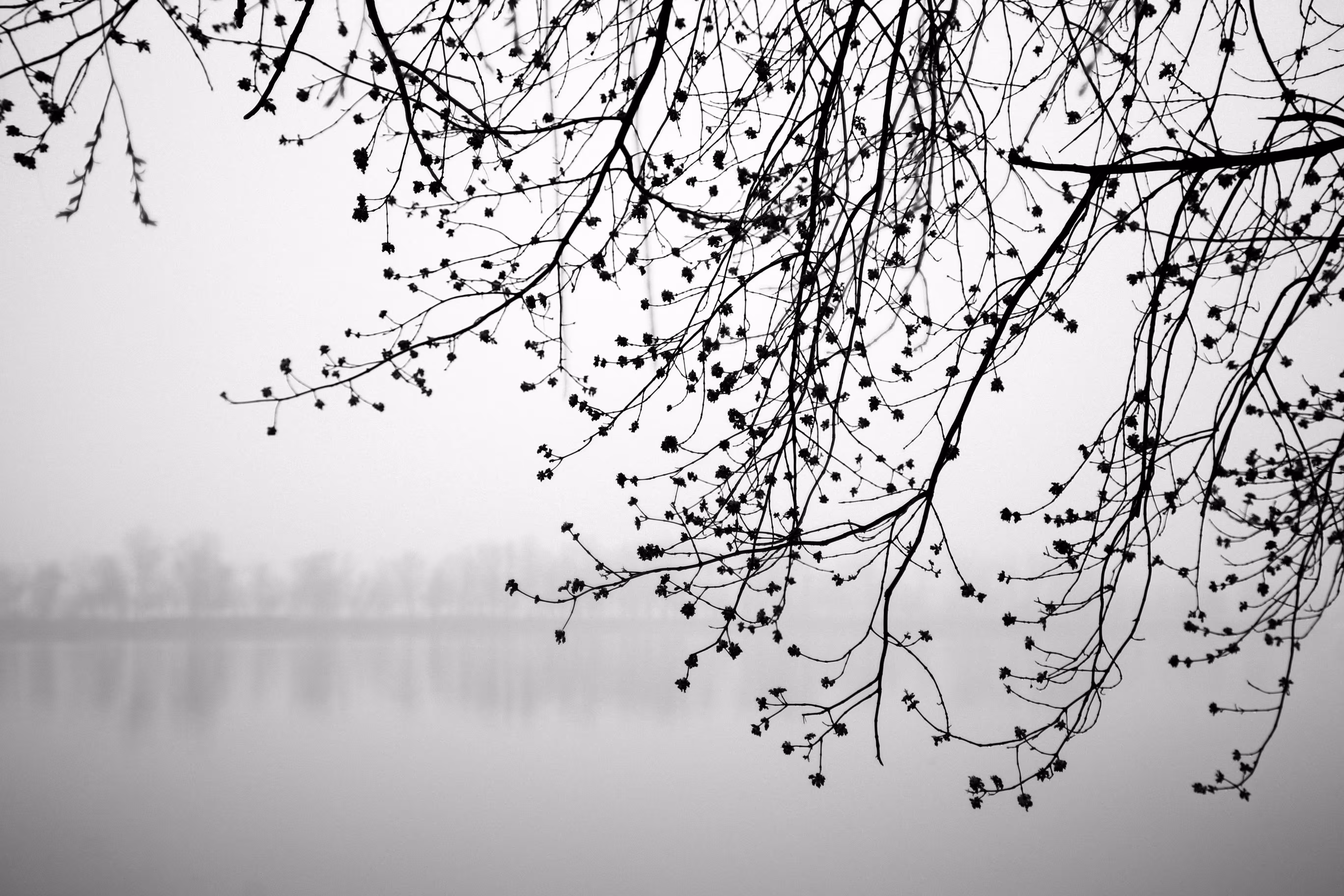 loneliness