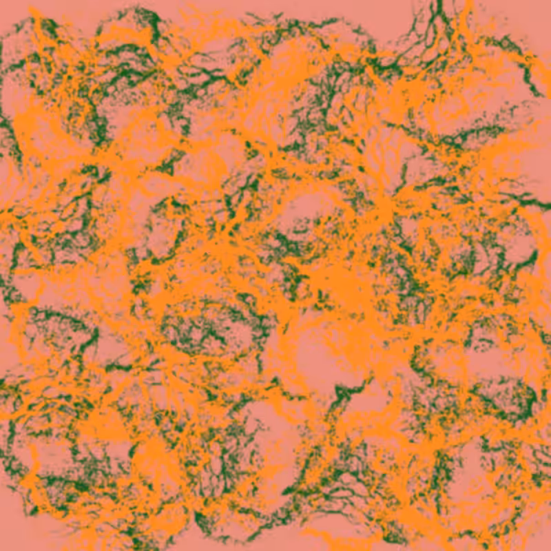 Magma #50