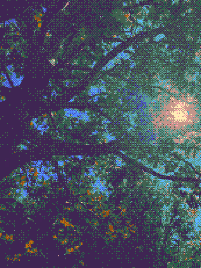 The oak tree