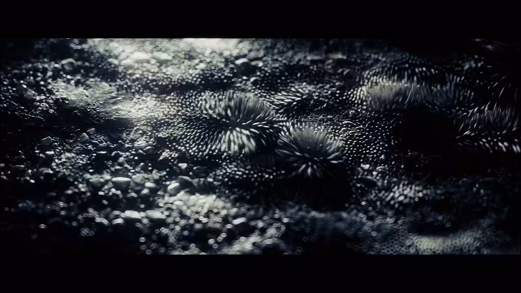 Virus.