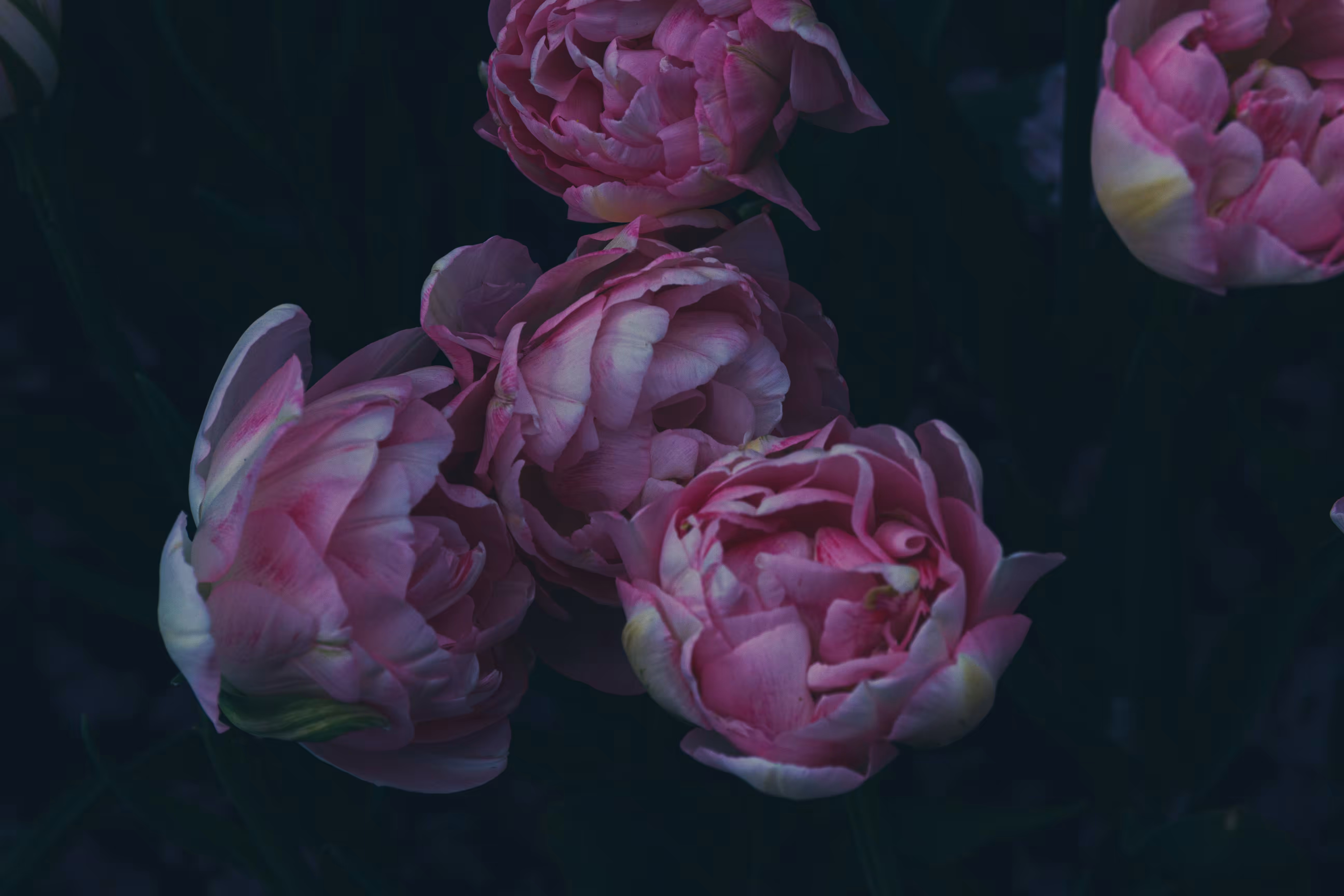Muted
