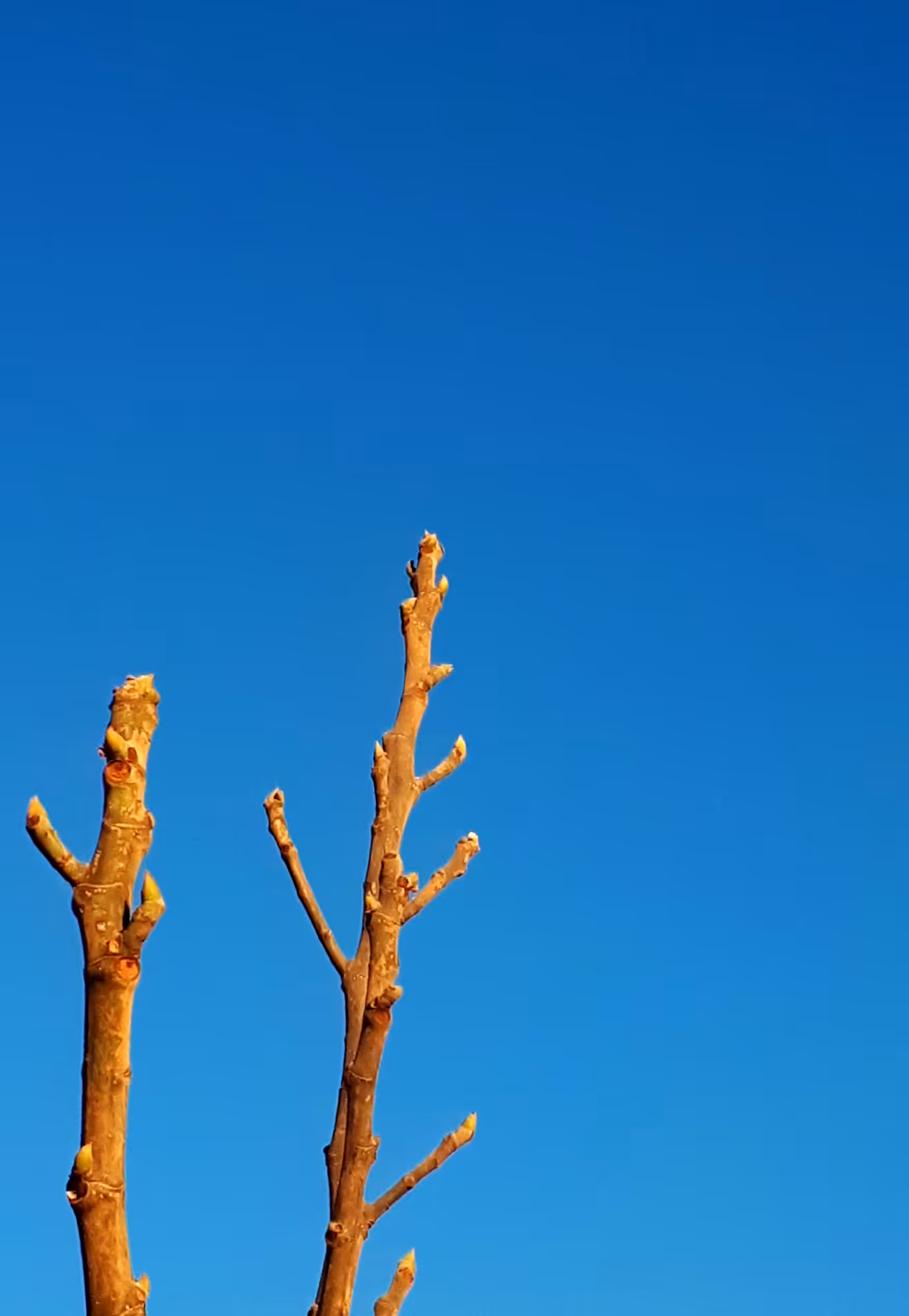 Touch the blue of the sky