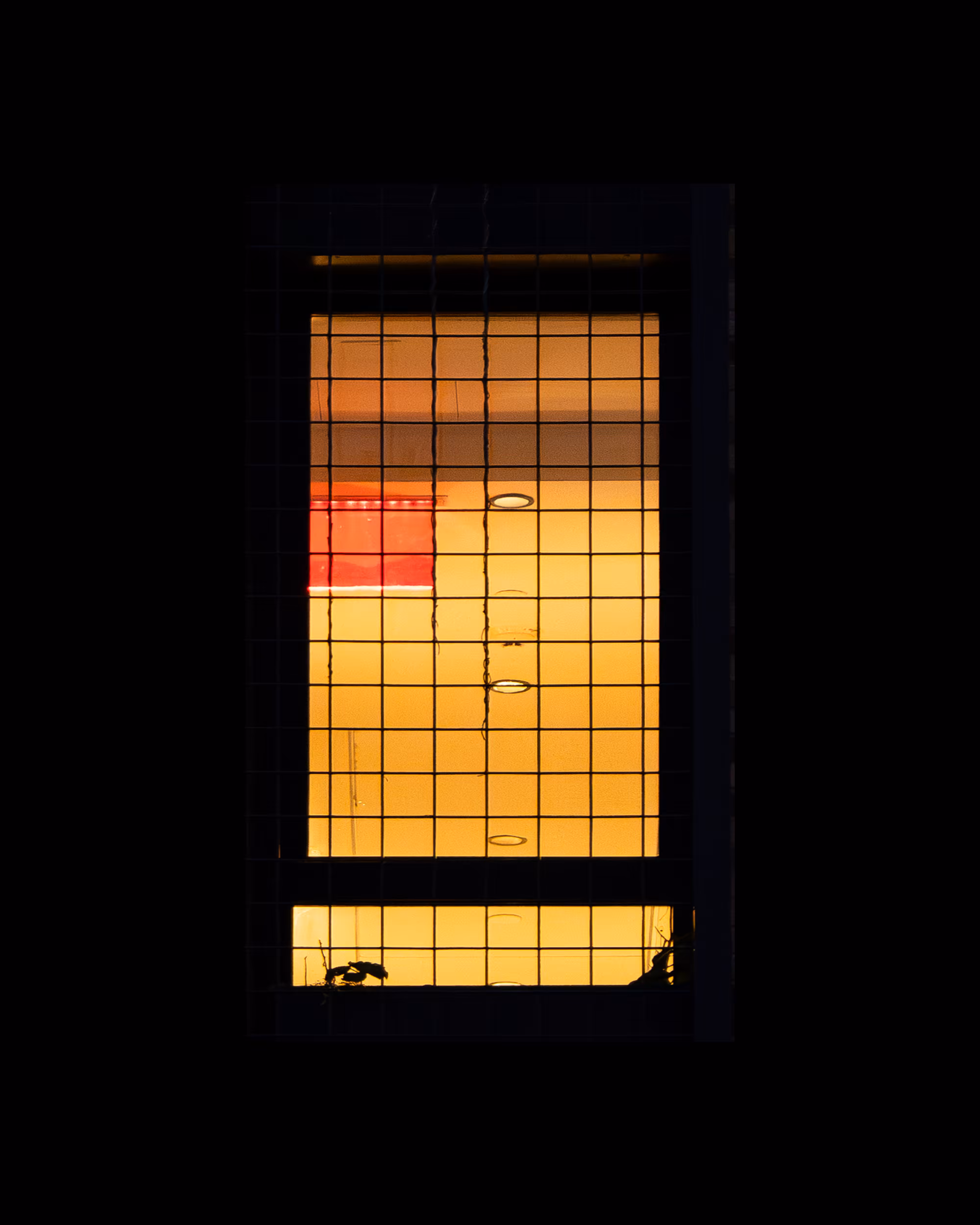WINDOWS // NYC: WINDOW 212