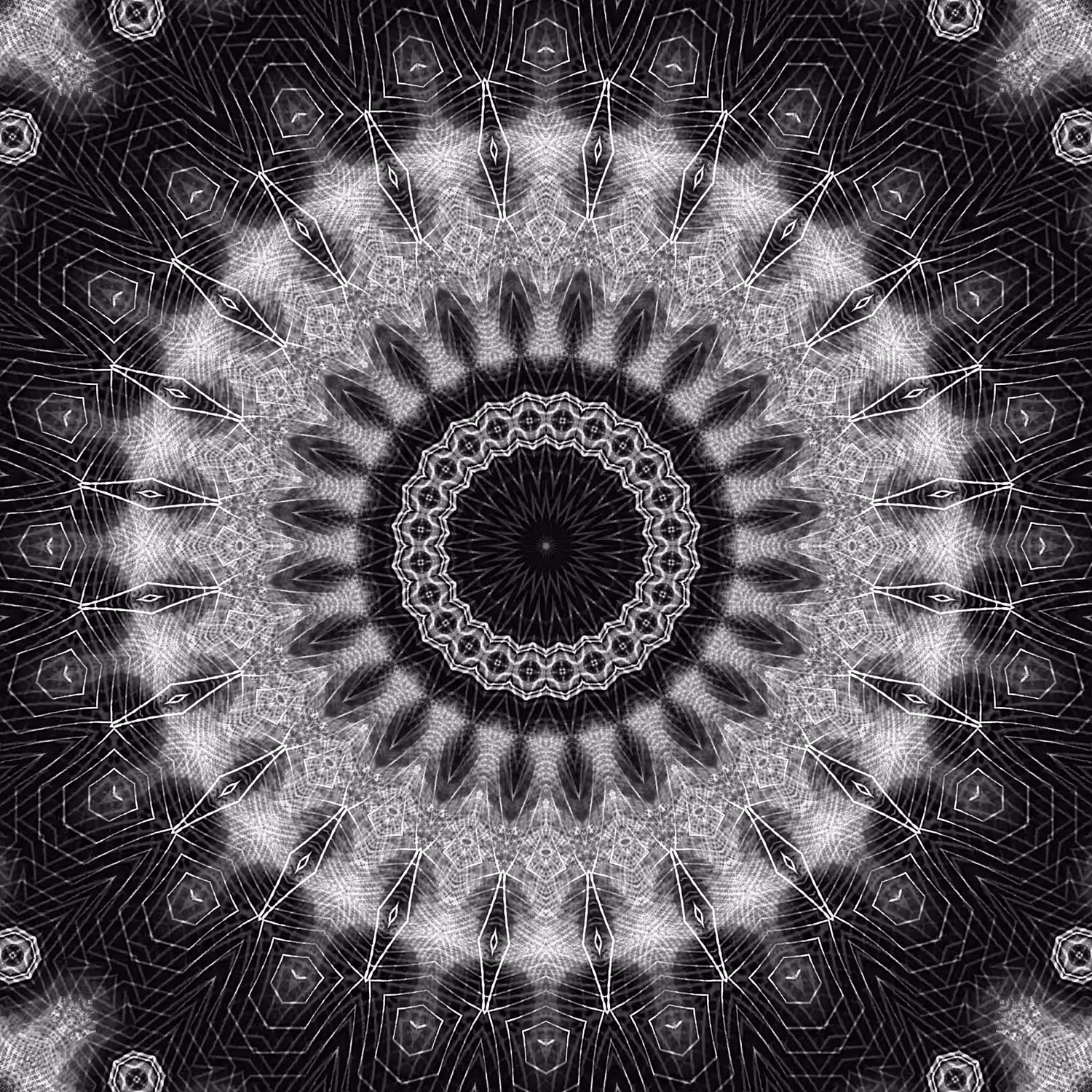 orbital warp 28