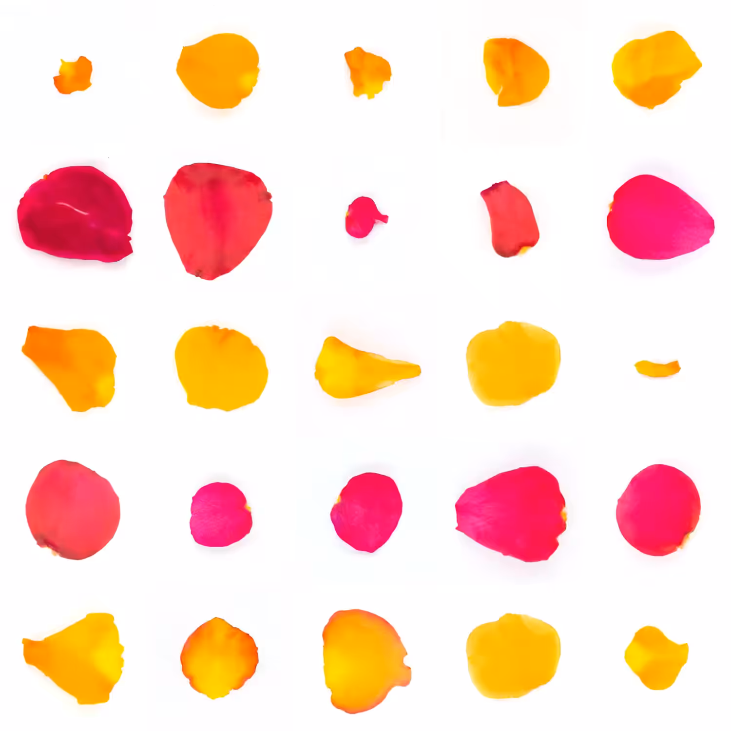 Infinite Petals 5x5#20698