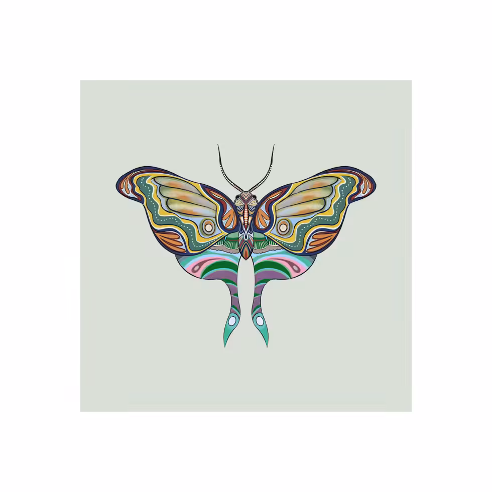 The Moth Experiment #24